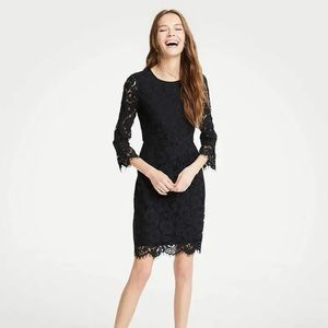 NWT Ann Taylor Black Lace Fluted Sleeve Flare Dress Size 6P